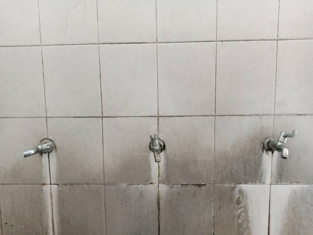 Best 24-hour water damage restoration  in Newton, MS